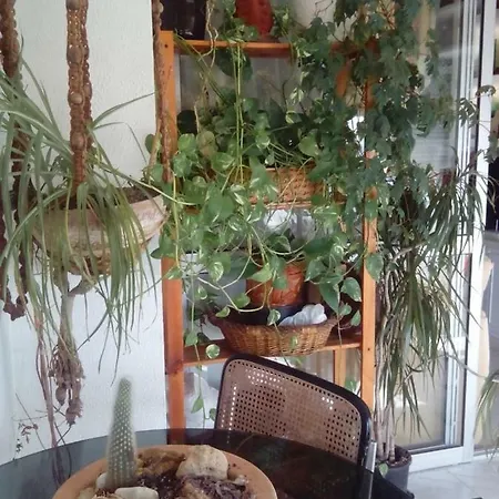 Ana De Viya Accommodatie bij particulieren *